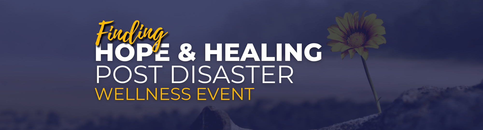 Finding Hope & Healing - Post Disaster Wellness Event